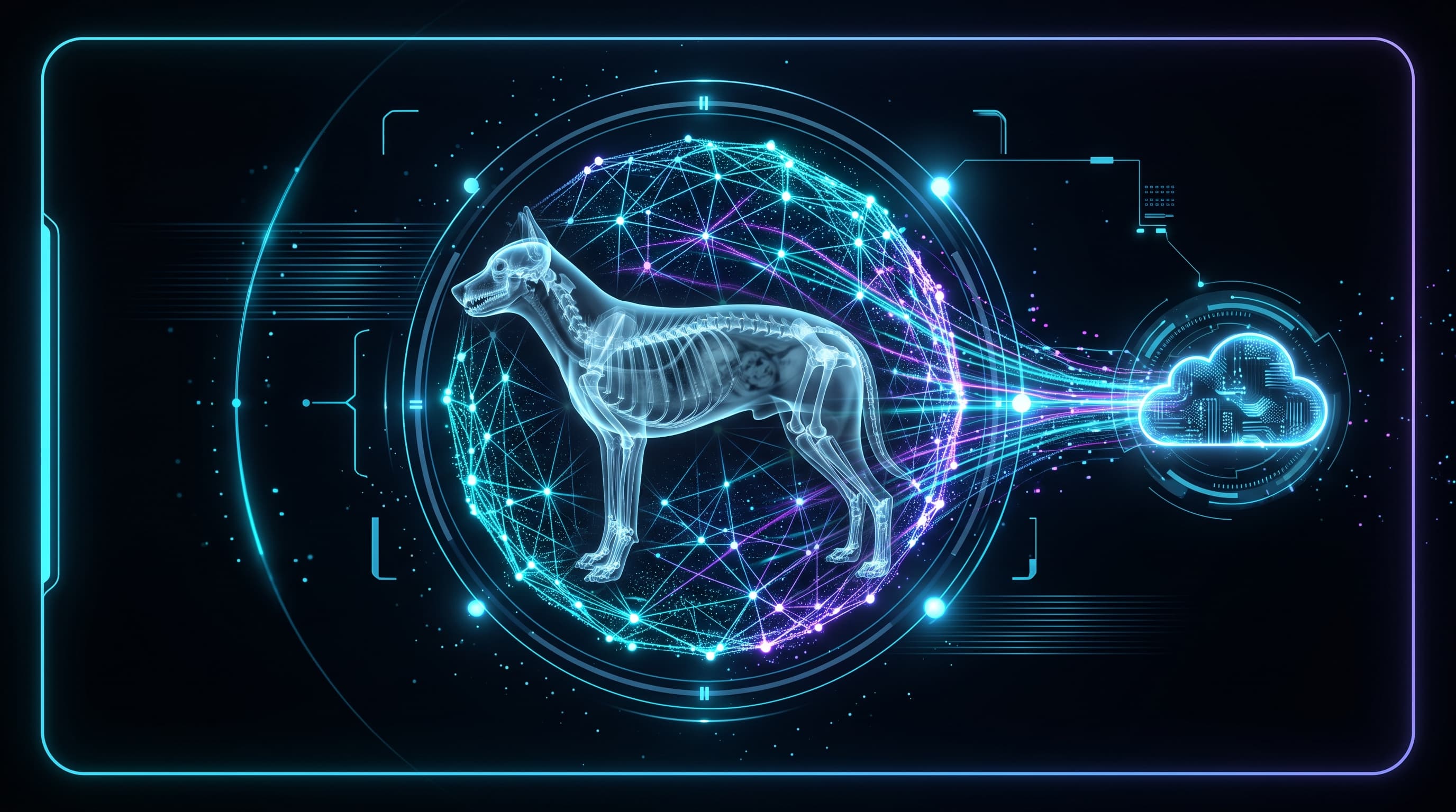 How Veterinary Radiology AI Software is Revolutionizing Diagnostics and Radiograph Transfers